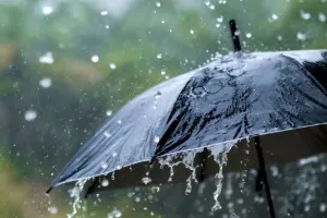 Bareilly: बारिश होगी...दो दिन के लिए हो जाएं तैयार, मौसम विभाग ने की भविष्यवाणी 