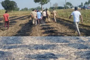 बिजनौर : गेहूं काटते समय खेत में लगी आग, बुझाने के प्रयास में जिंदा जल गया किसान 