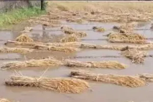 अमेठी: तेज हवा के साथ शुरू हुई बारिश, भीषण गर्मी से लोगों को मिली राहत, किसानों का हुआ भारी नुकसान 