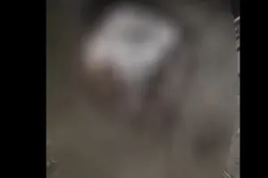 बहराइच: दुष्कर्म के आरोपी को गांववालों ने निर्वस्त्र कर बैलगाड़ी से बांधा पीटा, गांव में पुलिस बल तैनात 