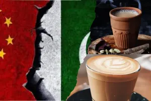 भारत की पड़ोसियों से नहीं बनती फिर भी बेचता है ये सामान, जानकर आप भी रह जायेगे हैरान