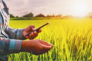 UP में 30 जून तक घर बैठे अपनी फसल बेच सकेंगे किसान, बस करना होगा ये काम