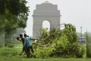 दिल्ली सरकार ने पेड़ों के गिरने से होने वाली समस्याओं से निपटने के लिये ‘QRT’ का किया गठन 