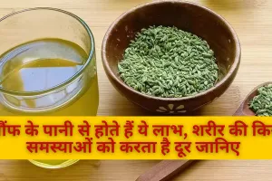 सौंफ के पानी से होते हैं ये लाभ, शरीर की किन समस्याओं को करता है दूर जानिए 