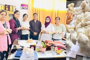 बरेली के छात्रों ने 120 रुपये की बोरियों में पैदा कर दी इतनी मशरूम, किसान करेंगे तो हो जाएंगे मालामाल 