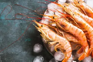 अमेरिका को 40,000 टन झींगा भेजने को तैयार भारत, शुल्क बढ़ोत्तरी में रोक के बाद लिया फैसला 