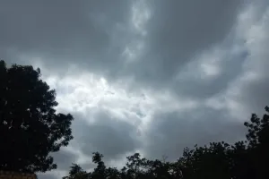 हल्द्वानी में धूप निकली लेकिन ठंडी हवा से राहत  