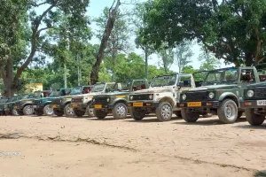 पीलीभीत: पीटीआर में अब सुबह छह बजे होगा सफारी वाहनों का संचालन, गर्मी के चलते बदला समय 