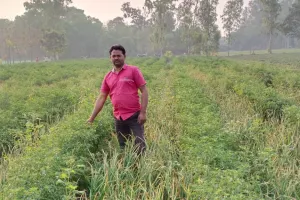 बाराबंकी: लहसुन-मिर्च की संयुक्त खेती से 30 फीसदी तक खर्च कम, आमदनी दोगुनी...किसानों को मिली नई तकनीक 