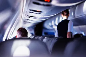 US : घरेलू उड़ान में सहयात्री के साथ यौन उत्पीड़न, भारतीय मूल के नागरिक पर लगा आरोप