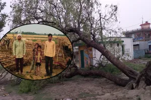 लखीमपुर खीरी: आंधी-बारिश का कहर...1200 गांवों में ठप रही 15 घंटे बिजली