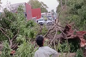 Barabanki News : तेज हवा में गिरे कई पेड़, कई घंटे गुल रही बिजली
