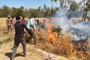 बाराबंकी अग्निकांड : पछुआ हवा संग आग का कहर, सैकड़ों बीघा फसल राख