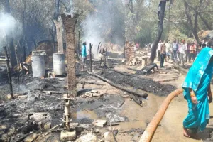 गोंडा अग्निकांड : नौ झोपडियों समेत 40 एकड़ फसल जलकर राख, एक मवेशी की मौत 