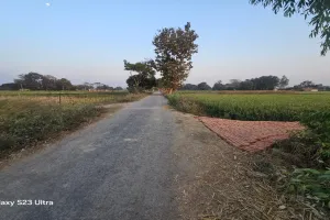 सुल्तानपुर :  वित्तीय स्वीकृति नहीं मिलने से 15 सड़कों का टेंडर निरस्त 