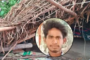 बदायूं: दर्दनाक ! बच्चों को बचाने दौड़ा नंदकिशोर गंवा बैठा अपनी ही जान...पेड़ गिरते ही निकला दम