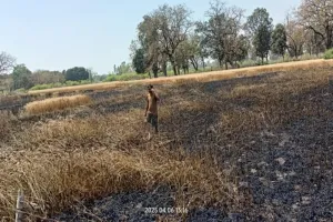 अयोध्या अग्निकांड : शॉर्ट सर्किट की चिंगारी से 11 बीघे गेहूं की फसल जली