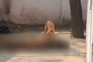 बदायूं: पुलिस वालों ने पोस्टमार्टम हाउस पर छोड़ा शव ! कुत्तों के नोचने का वीडियो वायरल 