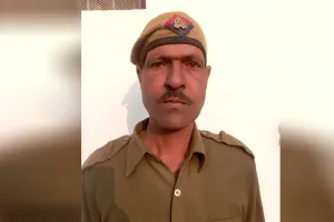 अमरोहा: आवारा पशुओं का आतंक...सांड ने होमगार्ड को पटक-पटककर मार डाला