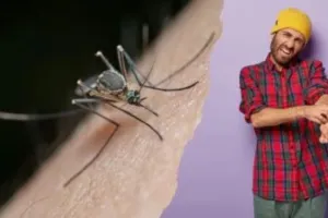 बदायूं: गर्मी में मच्छरों के आतंक से परेशान लोग, बीमारियों का बढ़ा डर