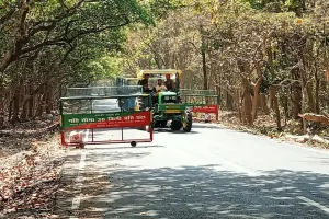 पीलीभीत: माला रेंज के 8 किमी जंगल मार्ग पर बेलगाम रफ्तार, हादसों की लगातार बढ़ रही घटनाएं