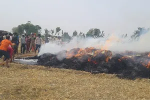 बदायूं: बच्ची ने जलाई माचिस, पांच बीघा गेहूं की फसल जलकर राख