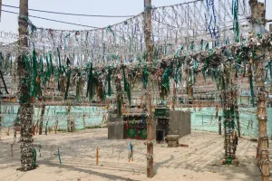 बरेली: पहले मजार बनाई, फिर बनाया ट्रस्ट...वक्फ के नाम पर हड़पी सरकारी जमीन