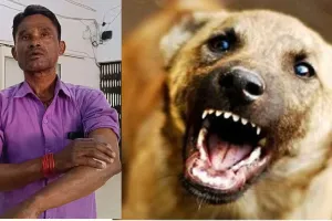 बरेली में बेकाबू कुत्तों का कहर, अस्पताल में भी नहीं सुरक्षित लोग