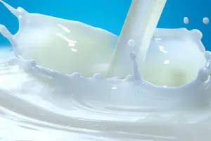 Milk Price Hike : मदर डेयरी और अमूल की राह पर चली ये कंपनी, बढ़ाए दूध के दाम