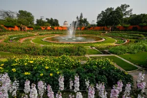 International Biodiversity Day: बंजर भूमि से जैव-विविधता के आशियाने तक... थीमैटिक बोटेनिकल गार्डन की प्रेरक कहानी, जानें कैसे रंग लाई प्रोफेसर की मेहनत