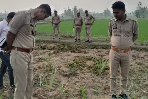 लखीमपुर खीरी: खेत व शारदा नहर में गोवंश अवशेष मिलने से फैला आक्रोश