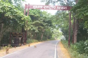 लखीमपुर खीरी : मंगलवार को दुधवा तो बुधवार को किशनपुर सेंचुरी पर्यटकों के लिए रहेगा बंद