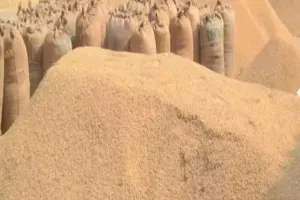 UP धान खरीद घोटाला: लेखपाल, एसडीएम और एडीएम पर भी गिरेगी गाज, एसआईटी की जांच में लगभग 40 क्रय केन्द्रों पर खरीद में मिली हेराफेरी