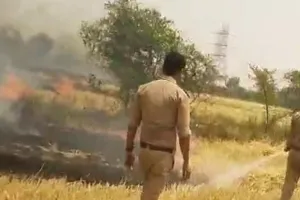 कानपुर में गेंहू की फसल में लगी आग: ऊंची-ऊंची लपटें उठती देख मचा हड़कंप, फायर ब्रिगेड ने पाया काबू
