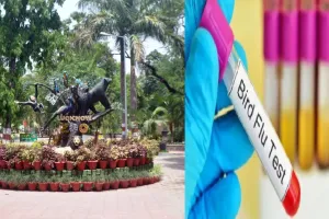 Bird Flu को लेकर यूपी में हाई अलर्ट, टीम गठित कर सभी चिड़ियाघर और लायन सफारी में होगी नियमित निगरानी
