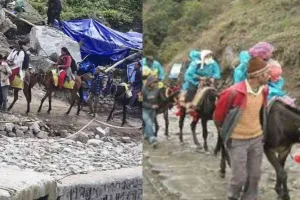 केदारनाथ में Equine Influenza से मचा हड़कंप, 2 दिन में 14 घोड़े-खच्चरों की मौत, 24 घंटे के लिए संचालन पर रोक 