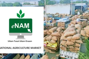 E-NAM से जुड़ी 37 मंडी, कृषि बाजार में डिजिटलीकरण से सीधे होगा कारोबार