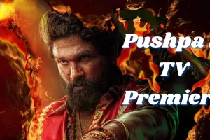 Pushpa 2 TV Premiere: थिएटर्स-OTT के बाद अब टीवी पर चलेगा पुष्पा का रूल, जानिए इस दिन होगा World TV premiere