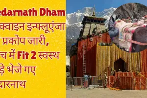 Kedarnath Dham : इक्वाइन इन्फ्लूएंजा का प्रकोप जारी, जांच में Fit 2 स्वस्थ घोड़े भेजे गए केदारनाथ