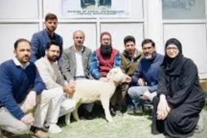 भारत की पहली नूरी' क्लोन पश्मीना भेड़ तैयार, SKUAST-कश्मीर के Researchers ने किया ये कमाल 