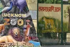 आज से खुलेगा चिड़ियाघर और लायन सफारी, बर्ड अलर्ट के चलते 14 दिनों से था बंद 