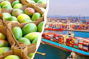 आम उत्पादकों के लिए बड़ी खबर, Exporter-Growers Meet के आयोजन से मिलेंगे आम के बेहतर दाम