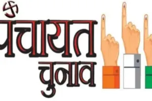 पंचायत चुनाव: पोर्टल में अपना नाम खोज सकते हैं मतदाता   