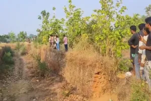 अमरोहा: ईंट भट्ठे में तेंदुआ घुसने से मची अफरा तफरी...तलाश में लगीं वन विभाग की टीम