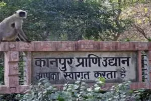 राहत भरा पल :  पशु-पक्षियों की लैब से रिपोर्ट आई, कहीं से बर्ड फ्लू की पुष्टि नहीं 