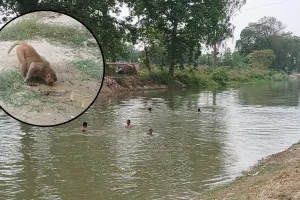 कासगंज: लाख जतन के बाद भी झुलसा रही गर्मी...बीमार हो रहे लोग, कारोबार भी पड़ा ठप