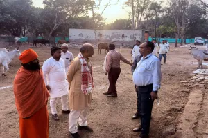 कासगंज: चारागाह की भूमि पर उगाया जाए हरा चारा...धनराशि का नहीं हो गलत इस्तेमाल