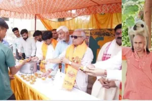 बड़ा मंगल : पर्यावरण के अनुकूल पॉलिथीन मुक्त भंडारे में लंगूर ने कर दिया हैरान कर देने वाला काम