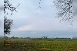 कासगंज: बूंदाबांदी ने भीषण गर्मी से दी राहत...मगर मौसम विभाग ने जारी की ये एडवाइजरी