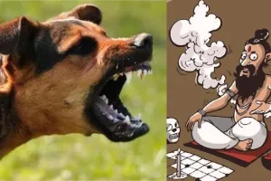 बरेली: कुत्ते ने काटा तो इलाज की जगह कराया झाड़- फूंक, बच्ची की हालत गंभीर